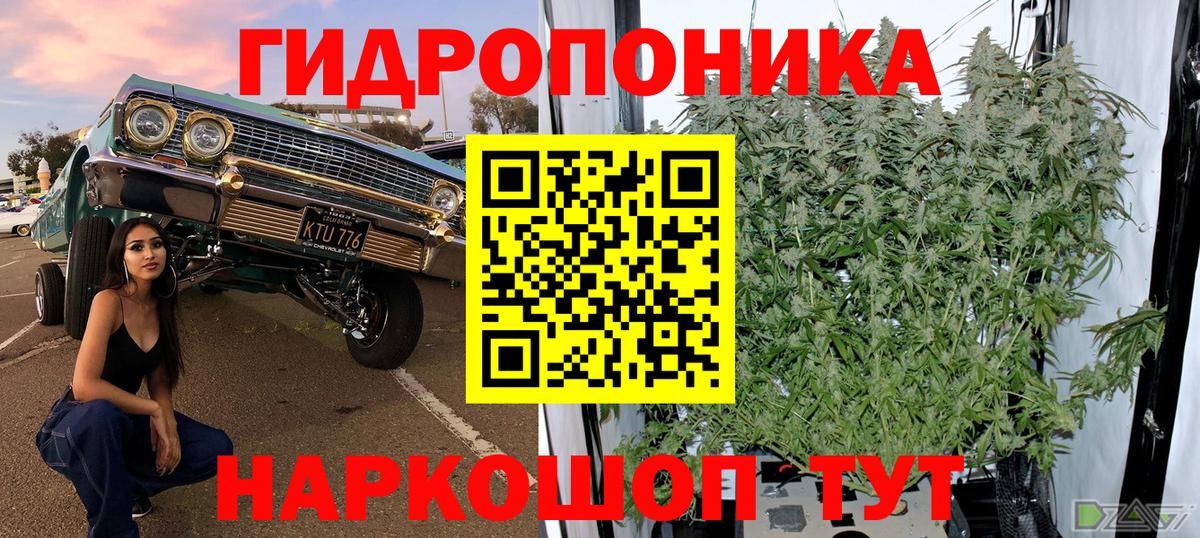 Саратов  Конопля ГИДРОПОН  Вход с VPN  Шишки марихуана SATIVA & INDICA  Шишки марихуана тримм 